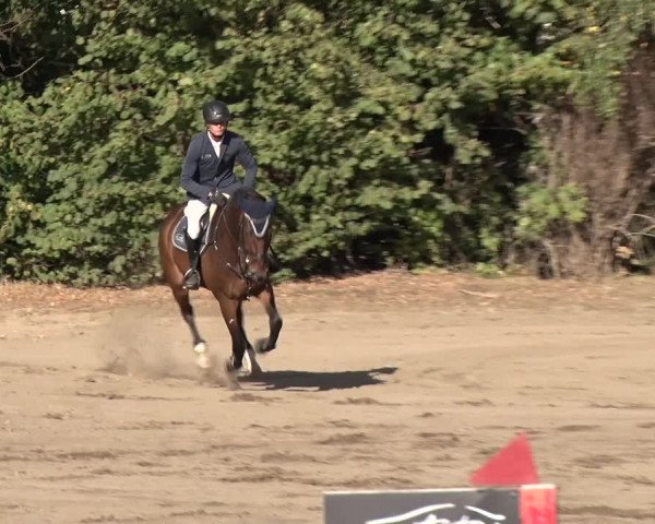 Reitturnier Berlin-Rudow 2019