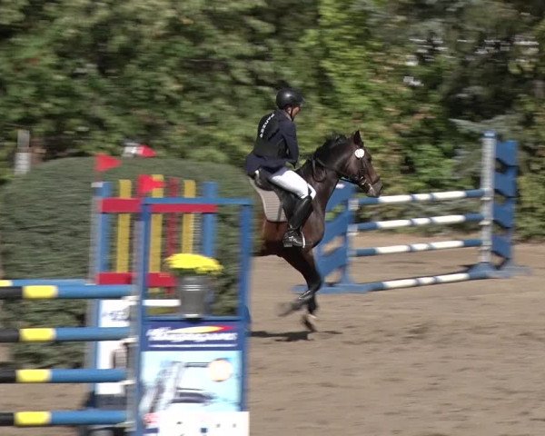Reitturnier Berlin-Rudow 2019