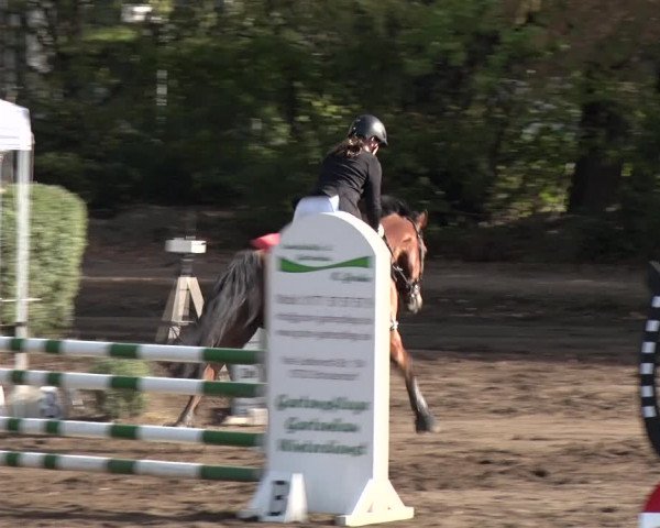 Reitturnier Berlin-Rudow 2019