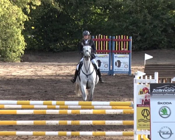 Reitturnier Berlin-Rudow 2019