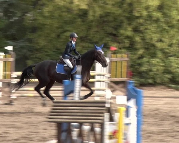 Reitturnier Berlin-Rudow 2019