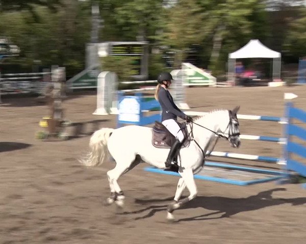 Reitturnier Berlin-Rudow 2019