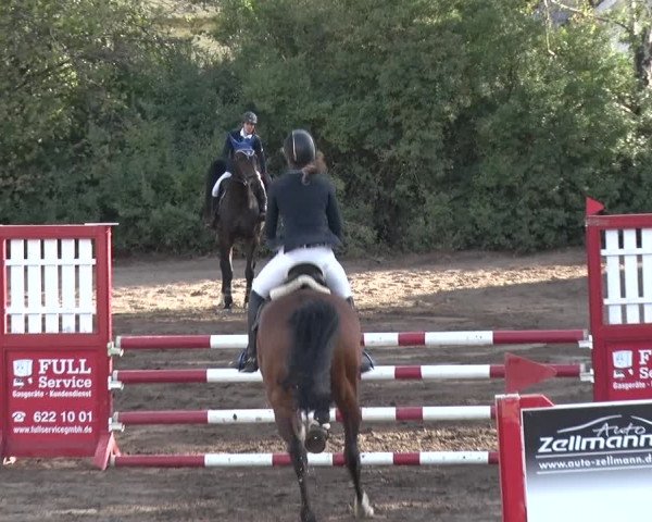 Reitturnier Berlin-Rudow 2019