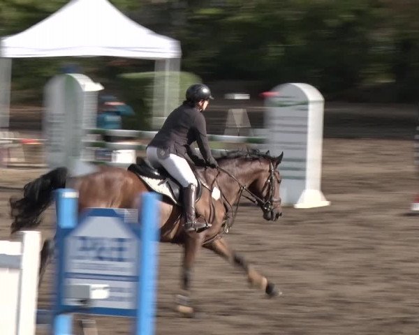 Reitturnier Berlin-Rudow 2019