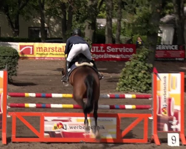 Reitturnier Berlin-Rudow 2019