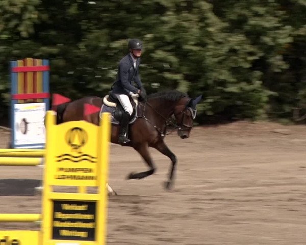 Reitturnier Berlin-Rudow 2019