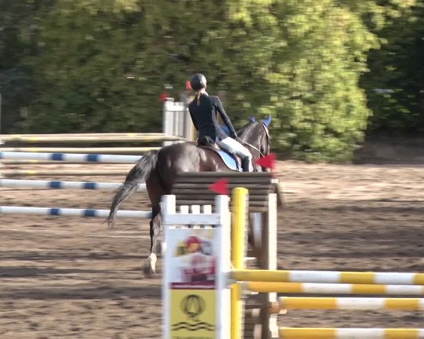 Reitturnier Berlin-Rudow 2019