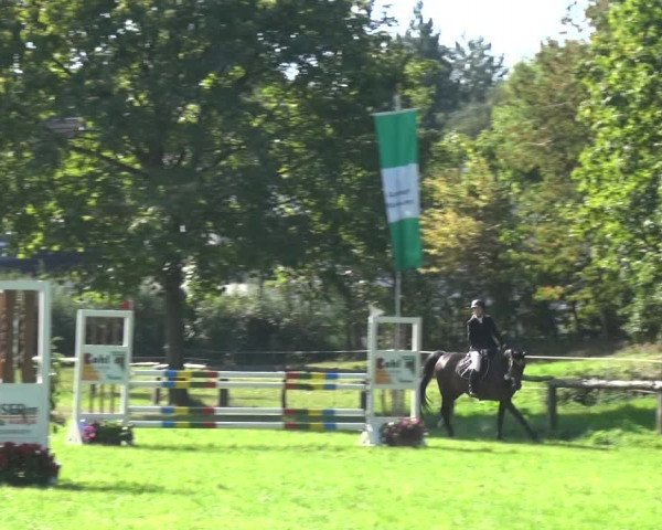Reitturnier Würselen-Pley 2019