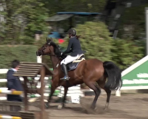 Reitturnier Berlin-Rudow 2019