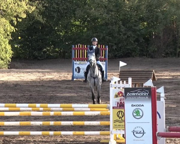 Reitturnier Berlin-Rudow 2019
