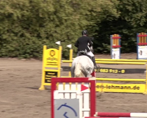 Reitturnier Berlin-Rudow 2019