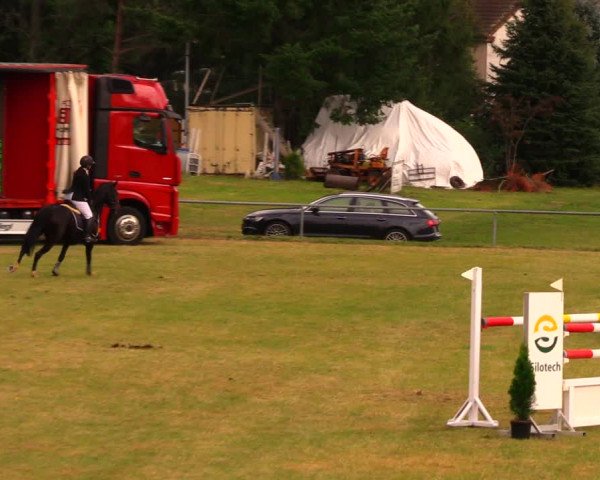 Reitturnier Altmittweida 2019