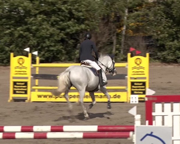 Reitturnier Berlin-Rudow 2019