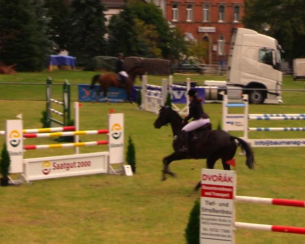 Reitturnier Altmittweida 2019