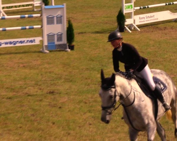 Reitturnier Altmittweida 2019