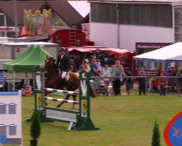 Reitturnier Altmittweida 2019
