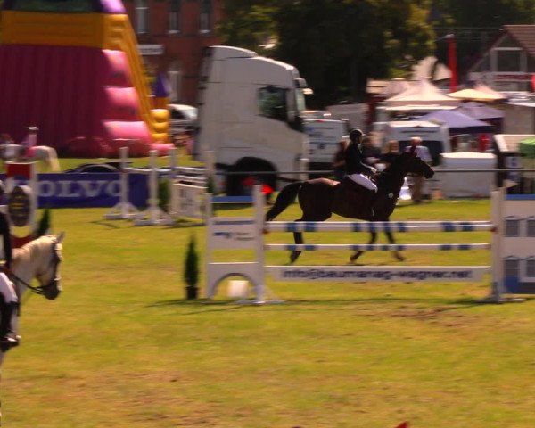 Reitturnier Altmittweida 2019
