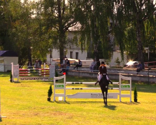 Reitturnier Altmittweida 2019