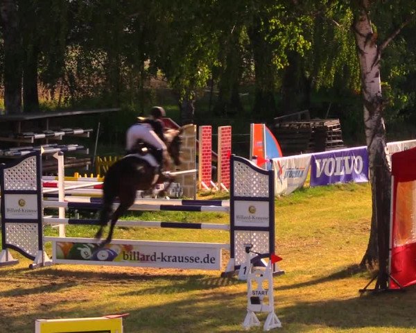 Reitturnier Altmittweida 2019