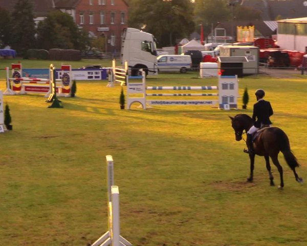 Reitturnier Altmittweida 2019