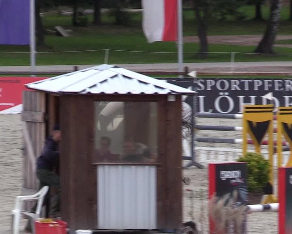 Reitturnier Westergellersen 2021