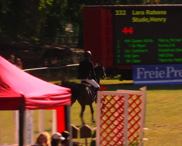 Reitturnier Altmittweida 2019