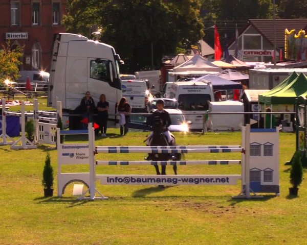 Reitturnier Altmittweida 2019