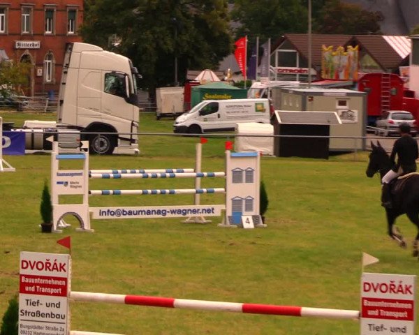 Reitturnier Altmittweida 2019