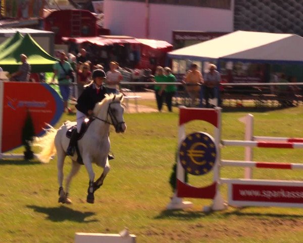 Reitturnier Altmittweida 2019