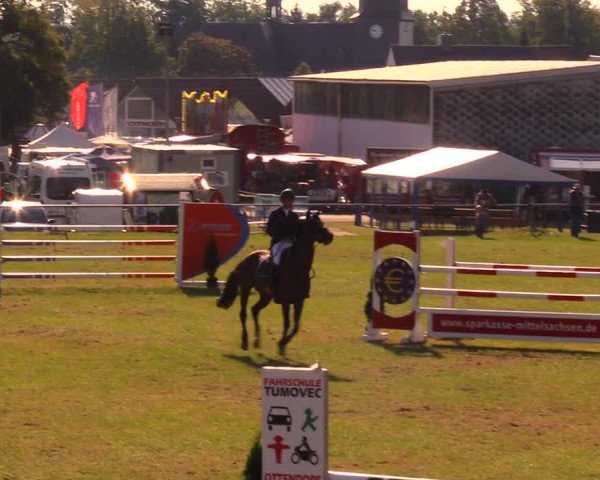 Reitturnier Altmittweida 2019