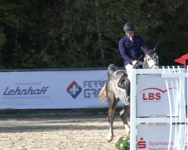 Reitturnier Neunkirchen-City 2019