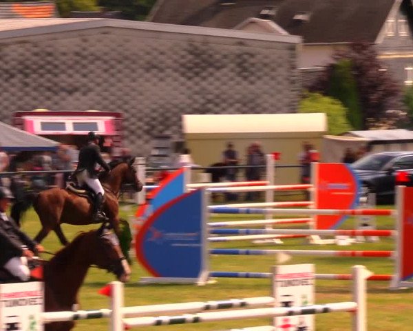 Reitturnier Altmittweida 2019