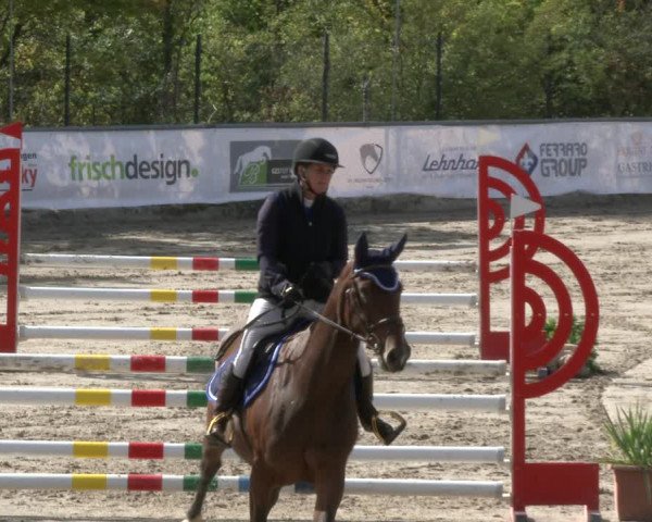 Reitturnier Neunkirchen-City 2019