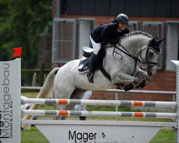 jumper Claus 58 (Oldenburg show jumper, 2010, from Berlin)