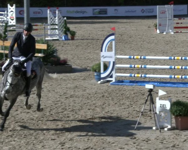 Reitturnier Neunkirchen-City 2019