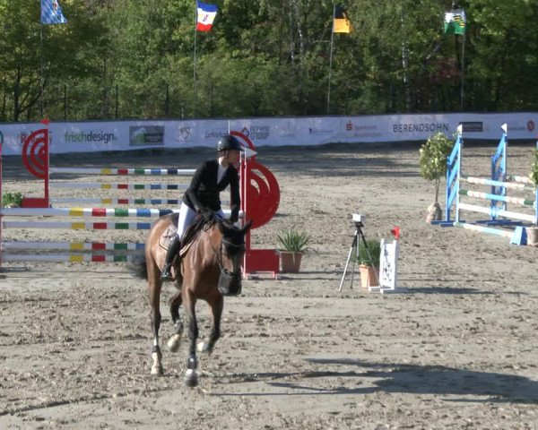 Reitturnier Neunkirchen-City 2019