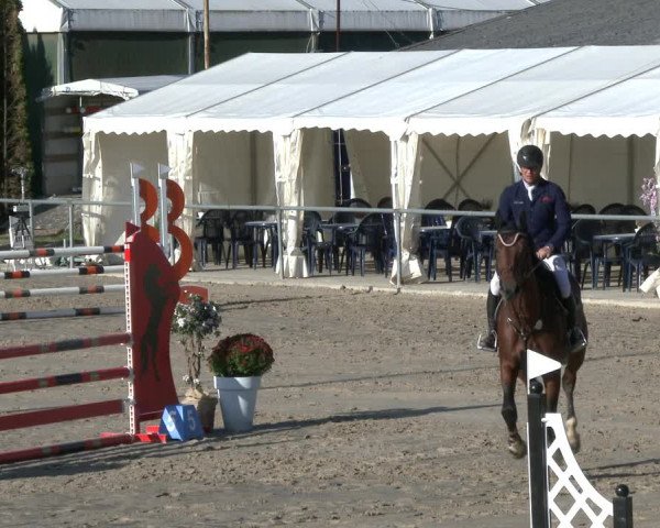 Reitturnier Neunkirchen-City 2019