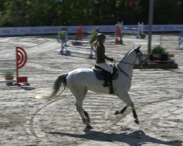 Reitturnier Neunkirchen-City 2019