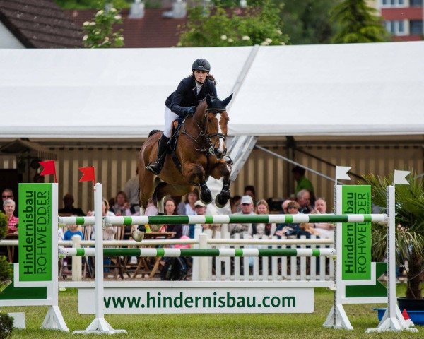 jumper Qsieben (Holsteiner, 2007, from Quantum)