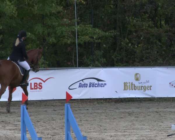 Reitturnier Neunkirchen-City 2019
