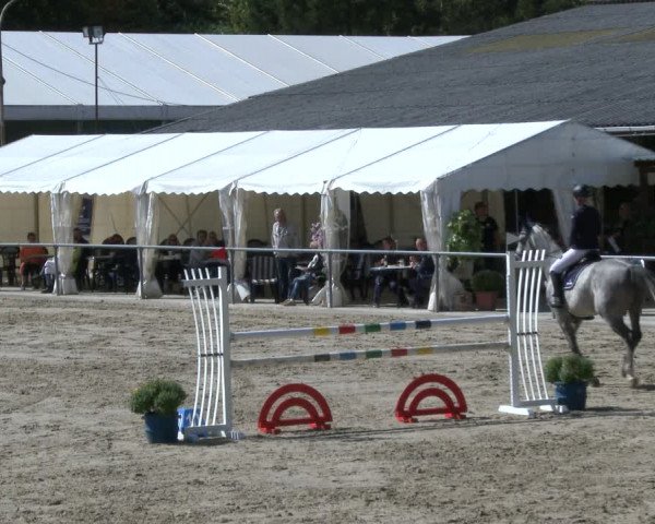 Reitturnier Neunkirchen-City 2019