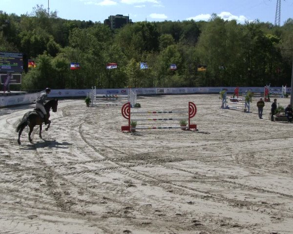 Reitturnier Neunkirchen-City 2019