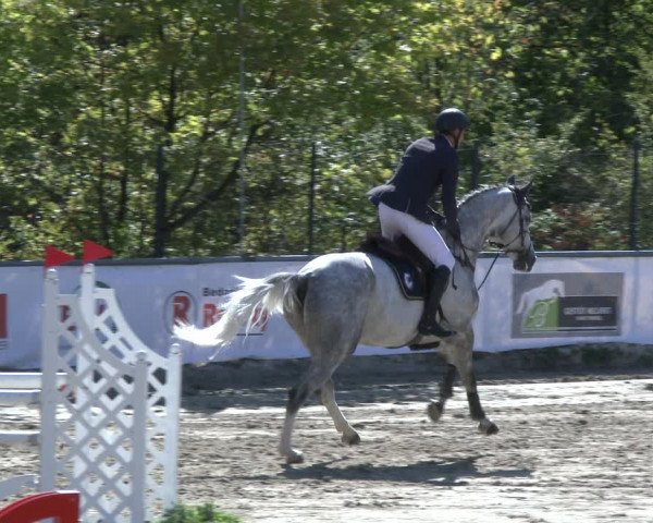 Reitturnier Neunkirchen-City 2019