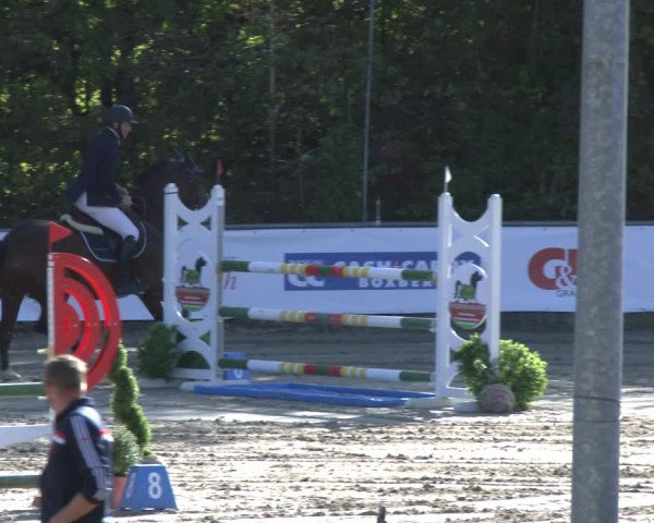 Reitturnier Neunkirchen-City 2019