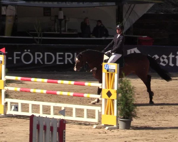 Reitturnier Siegen 2019