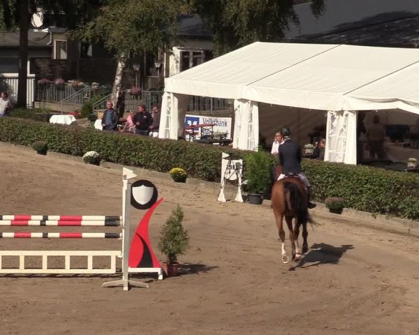 Reitturnier Siegen 2019