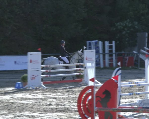Reitturnier Neunkirchen-City 2019