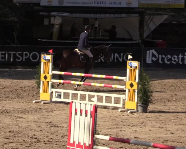 Reitturnier Siegen 2019