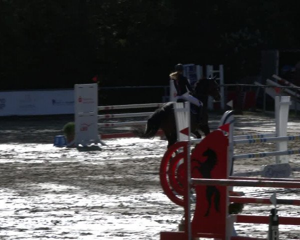 Reitturnier Neunkirchen-City 2019