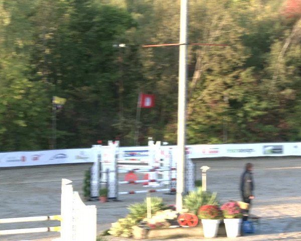 Reitturnier Neunkirchen-City 2019